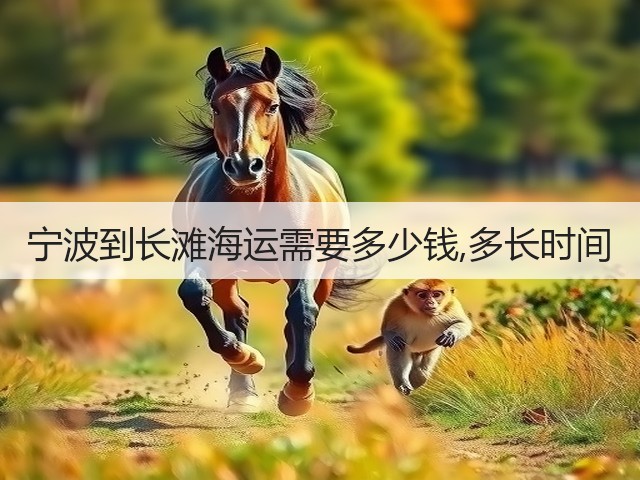 宁波到长滩海运需要多少钱,多长时间(图3) 宁波到长滩海运需要多少钱,多长时间(图3)