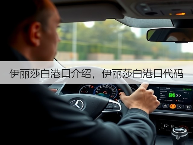 伊丽莎白港口介绍,伊丽莎白港口代码(图1) 伊丽莎白港口介绍,伊丽莎白港口代码(图1)