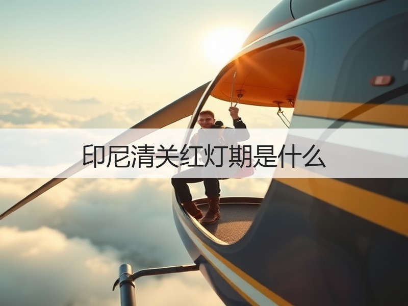 印尼清关红灯期是什么