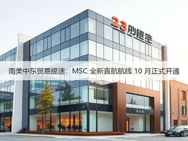 南美中东贸易提速:MSC 全新直航航线 10 月正式开通(图2) 南美中东贸易提速:MSC 全新直航航线 10 月正式开通(图2)