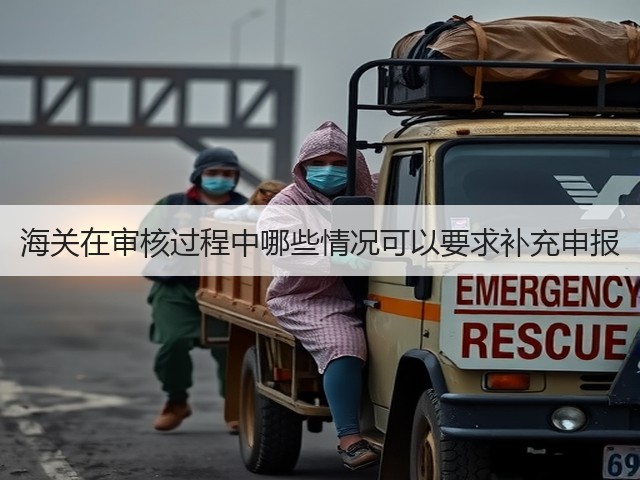 海关在审核过程中哪些情况可以要求补充申报(图3)
