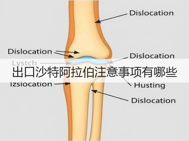 出口沙特阿拉伯注意事项有哪些(图2) 出口沙特阿拉伯注意事项有哪些(图2)