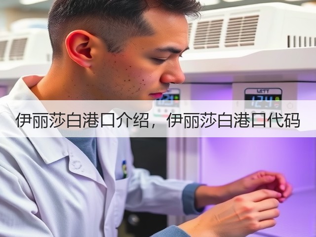 伊丽莎白港口介绍，伊丽莎白港口代码(图3)