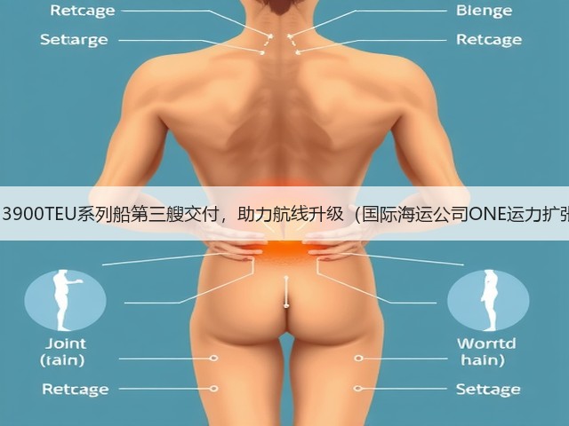 今治造船13900TEU系列船第三艘交付,助力航线升级(国际海运公司ONE运力扩张再提速)(图3) 今治造船13900TEU系列船第三艘交付,助力航线升级(国际海运公司ONE运力扩张再提速)(图3)