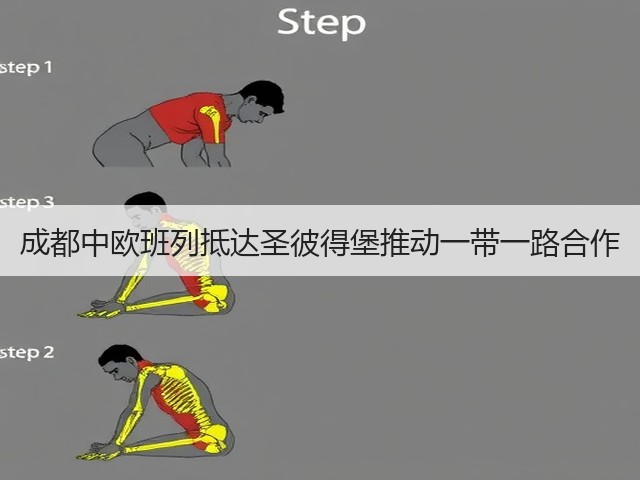 成都中欧班列抵达圣彼得堡推动一带一路合作(图2) 成都中欧班列抵达圣彼得堡推动一带一路合作(图2)