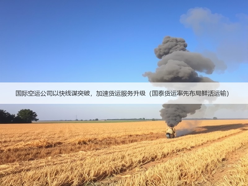 国际空运公司以快线谋突破,加速货运服务升级(国泰货运率先布局鲜活运输) 国际空运公司以快线谋突破,加速货运服务升级(国泰货运率先布局鲜活运输)