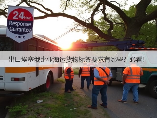 出口埃塞俄比亚海运货物标签要求有哪些?必看!(图3) 出口埃塞俄比亚海运货物标签要求有哪些?必看!(图3)
