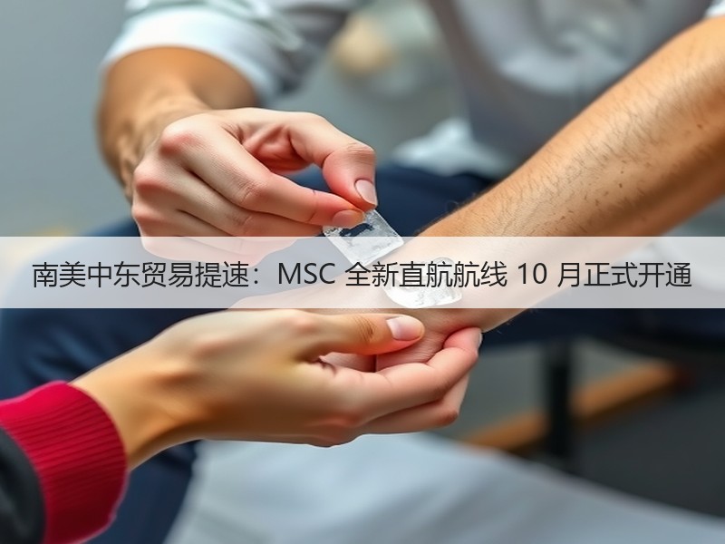 南美中东贸易提速:MSC 全新直航航线 10 月正式开通 南美中东贸易提速:MSC 全新直航航线 10 月正式开通