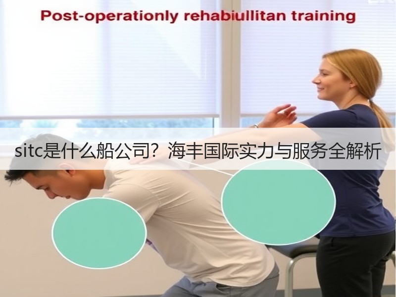 sitc是什么船公司?海丰国际实力与服务全解析 sitc是什么船公司?海丰国际实力与服务全解析