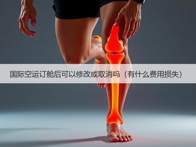 国际空运订舱后可以修改或取消吗（有什么费用损失）