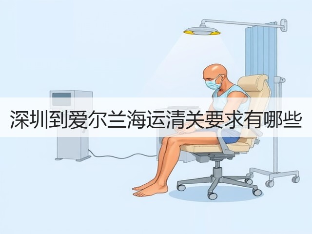 深圳到爱尔兰海运清关要求有哪些(图2)