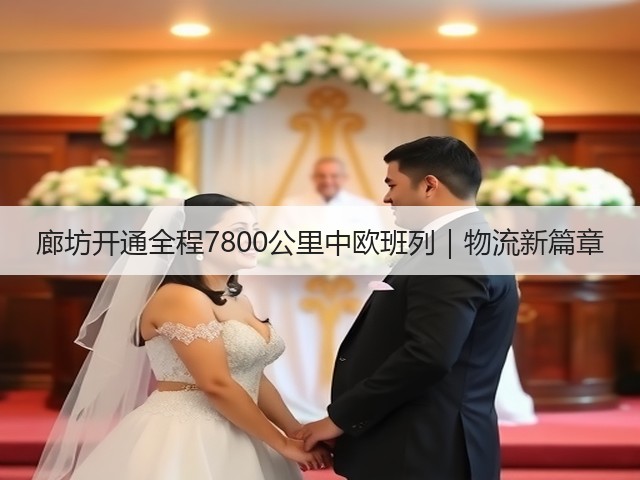 廊坊开通全程7800公里中欧班列｜物流新篇章(图1)