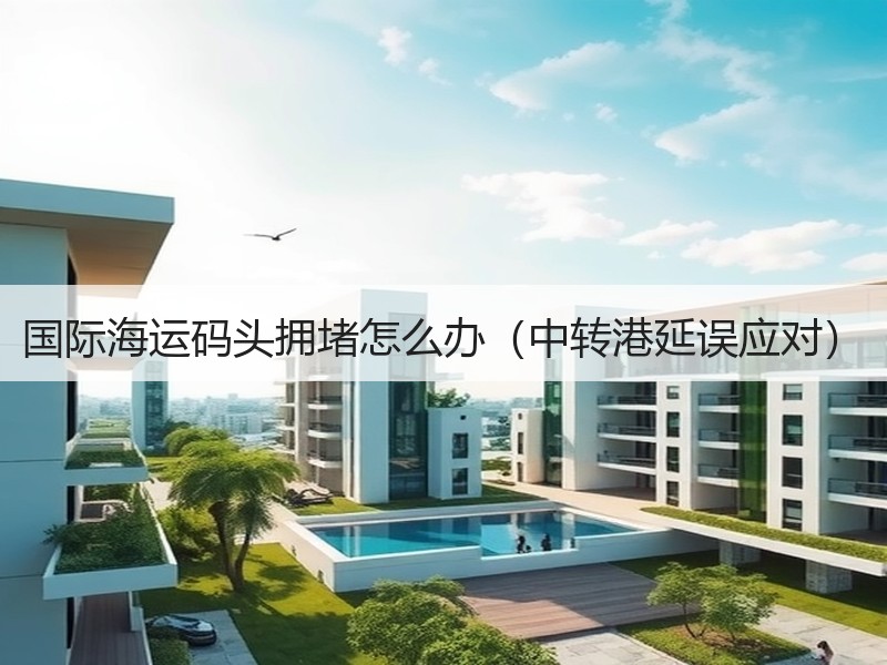 国际海运码头拥堵怎么办（中转港延误应对）