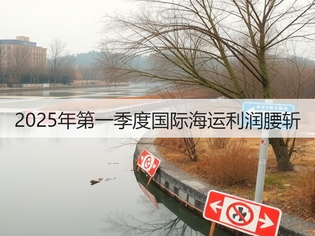 2025年第一季度国际海运利润腰斩(图2)