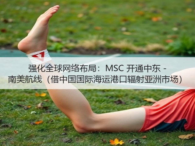强化全球网络布局:MSC 开通中东 - 南美航线(借中国国际海运港口辐射亚洲市场)(图2) 强化全球网络布局:MSC 开通中东 - 南美航线(借中国国际海运港口辐射亚洲市场)(图2)