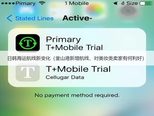 日韩海运航线新变化（釜山港新增航线，对美妆类卖家有何利好）(图3)