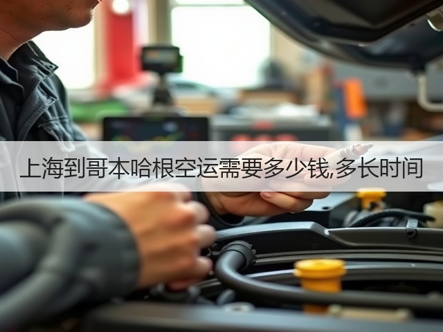 上海到哥本哈根空运需要多少钱,多长时间(图3) 上海到哥本哈根空运需要多少钱,多长时间(图3)