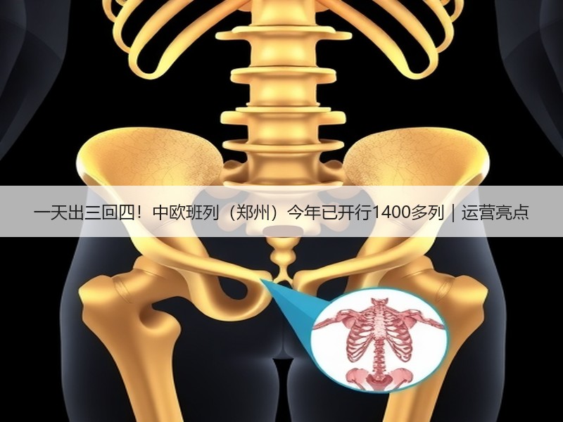 一天出三回四！中欧班列（郑州）今年已开行1400多列｜运营亮点