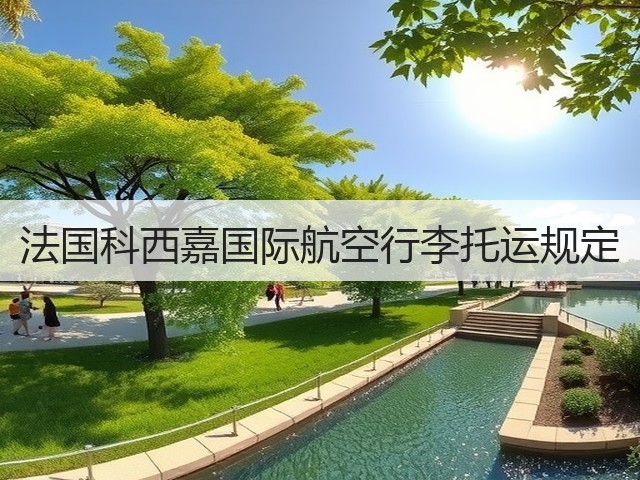 法国科西嘉国际航空行李托运规定(图2) 法国科西嘉国际航空行李托运规定(图2)