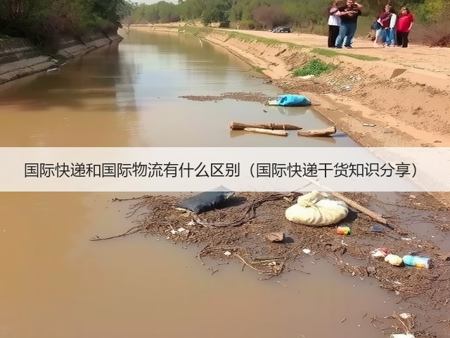 国际快递和国际物流有什么区别(国际快递干货知识分享)(图3) 国际快递和国际物流有什么区别(国际快递干货知识分享)(图3)