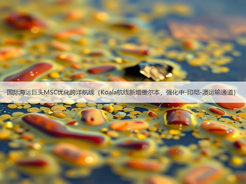 国际海运巨头MSC优化跨洋航线(Koala航线新增墨尔本,强化中-印尼-澳运输通道) 国际海运巨头MSC优化跨洋航线(Koala航线新增墨尔本,强化中-印尼-澳运输通道)