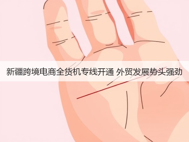 新疆跨境电商全货机专线开通 外贸发展势头强劲(图3) 新疆跨境电商全货机专线开通 外贸发展势头强劲(图3)