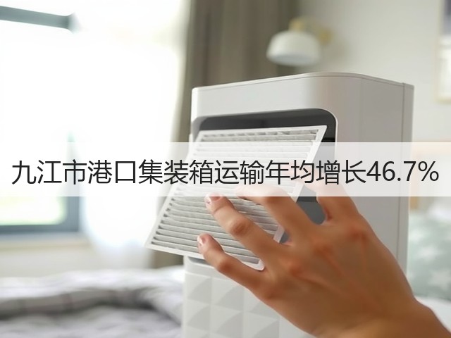 九江市港口集装箱运输年均增长46.7%(图2)