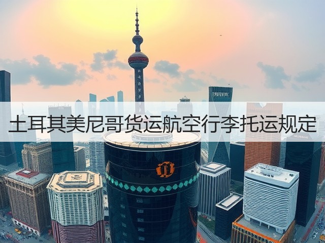 土耳其美尼哥货运航空行李托运规定(图3) 土耳其美尼哥货运航空行李托运规定(图3)