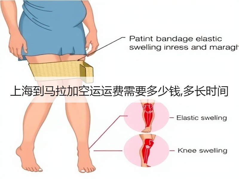 上海到马拉加空运运费需要多少钱,多长时间