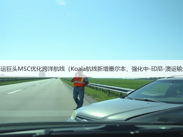 国际海运巨头MSC优化跨洋航线(Koala航线新增墨尔本,强化中-印尼-澳运输通道)(图3) 国际海运巨头MSC优化跨洋航线(Koala航线新增墨尔本,强化中-印尼-澳运输通道)(图3)