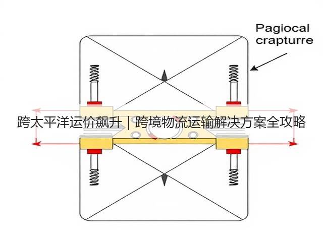 跨太平洋运价飙升|跨境物流运输解决方案全攻略(图3) 跨太平洋运价飙升|跨境物流运输解决方案全攻略(图3)