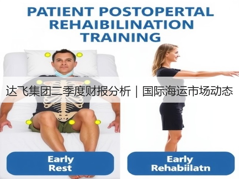 达飞集团二季度财报分析｜国际海运市场动态