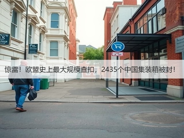 惊雷!欧盟史上最大规模查扣,2435个中国集装箱被封!(图1) 惊雷!欧盟史上最大规模查扣,2435个中国集装箱被封!(图1)
