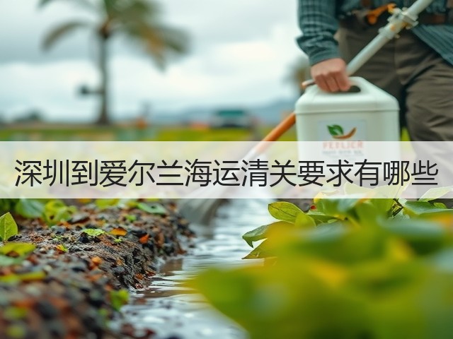 深圳到爱尔兰海运清关要求有哪些(图3) 深圳到爱尔兰海运清关要求有哪些(图3)