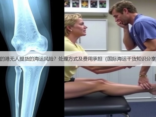 目的港无人提货的海运风险?处理方式及费用承担(国际海运干货知识分享)(图1) 目的港无人提货的海运风险?处理方式及费用承担(国际海运干货知识分享)(图1)