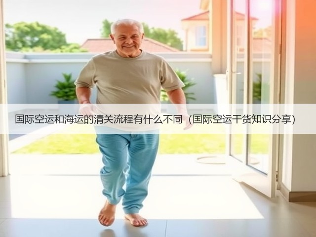 国际空运和海运的清关流程有什么不同（国际空运干货知识分享）(图3)