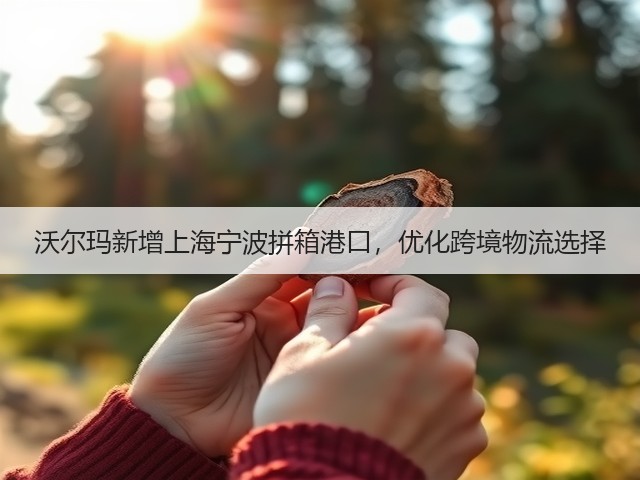 沃尔玛新增上海宁波拼箱港口,优化跨境物流选择(图2) 沃尔玛新增上海宁波拼箱港口,优化跨境物流选择(图2)