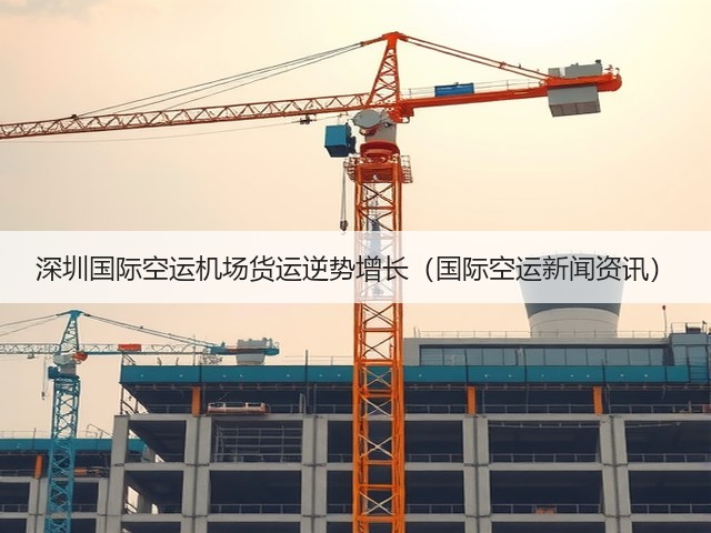 深圳国际空运机场货运逆势增长（国际空运新闻资讯）(图1)
