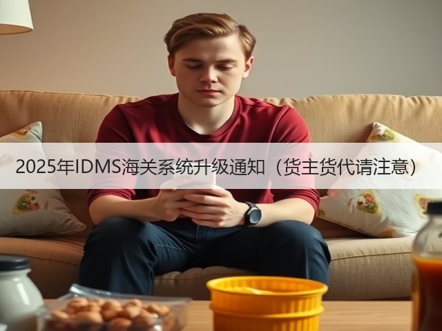 2025年IDMS海关系统升级通知(货主货代请注意)(图3) 2025年IDMS海关系统升级通知(货主货代请注意)(图3)