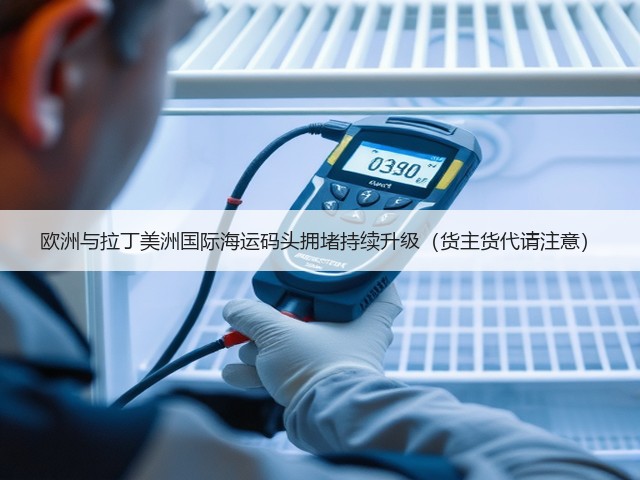 欧洲与拉丁美洲国际海运码头拥堵持续升级(货主货代请注意)(图3) 欧洲与拉丁美洲国际海运码头拥堵持续升级(货主货代请注意)(图3)