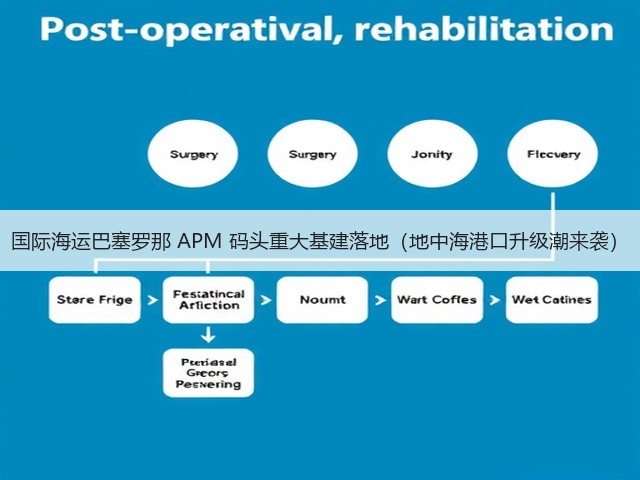 国际海运巴塞罗那 APM 码头重大基建落地（地中海港口升级潮来袭）(图1)