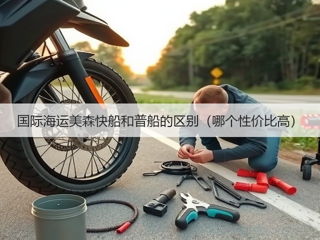 国际海运美森快船和普船的区别(哪个性价比高)(图3) 国际海运美森快船和普船的区别(哪个性价比高)(图3)