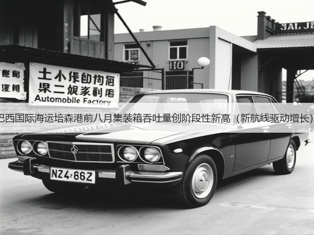 巴西国际海运培森港前八月集装箱吞吐量创阶段性新高(新航线驱动增长)(图3) 巴西国际海运培森港前八月集装箱吞吐量创阶段性新高(新航线驱动增长)(图3)