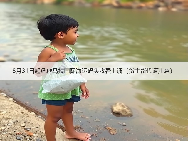 8月31日起危地马拉国际海运码头收费上调（货主货代请注意）(图3)