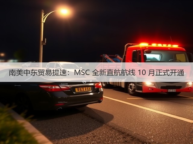 南美中东贸易提速：MSC 全新直航航线 10 月正式开通(图1)
