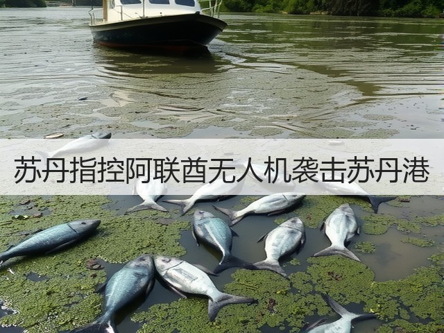 苏丹指控阿联酋无人机袭击苏丹港(图3) 苏丹指控阿联酋无人机袭击苏丹港(图3)