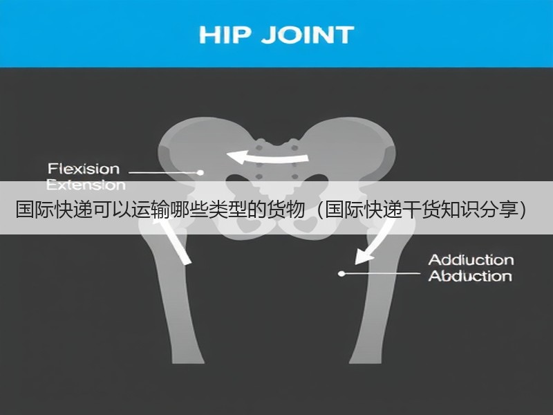 国际快递可以运输哪些类型的货物（国际快递干货知识分享）