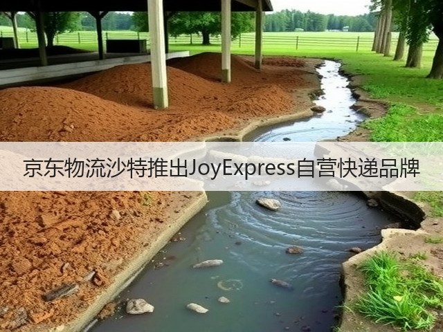 京东物流沙特推出JoyExpress自营快递品牌(图3)