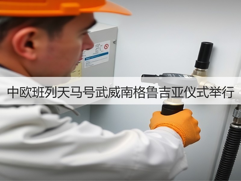中欧班列天马号武威南格鲁吉亚仪式举行 中欧班列天马号武威南格鲁吉亚仪式举行