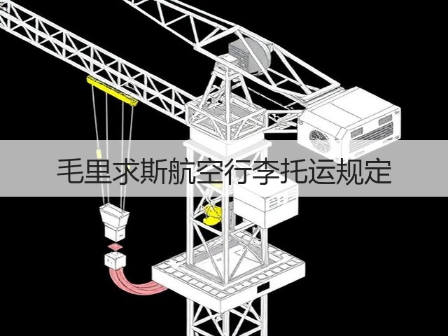毛里求斯航空行李托运规定(图2) 毛里求斯航空行李托运规定(图2)
